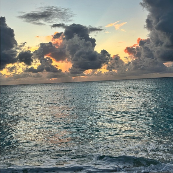 alexavandepoll1